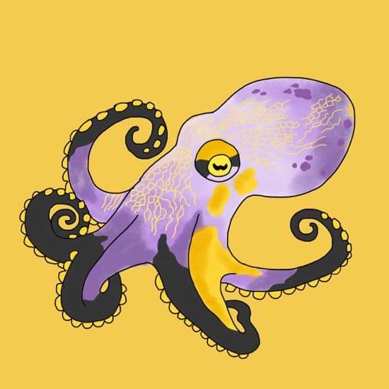 nonbinary octopus